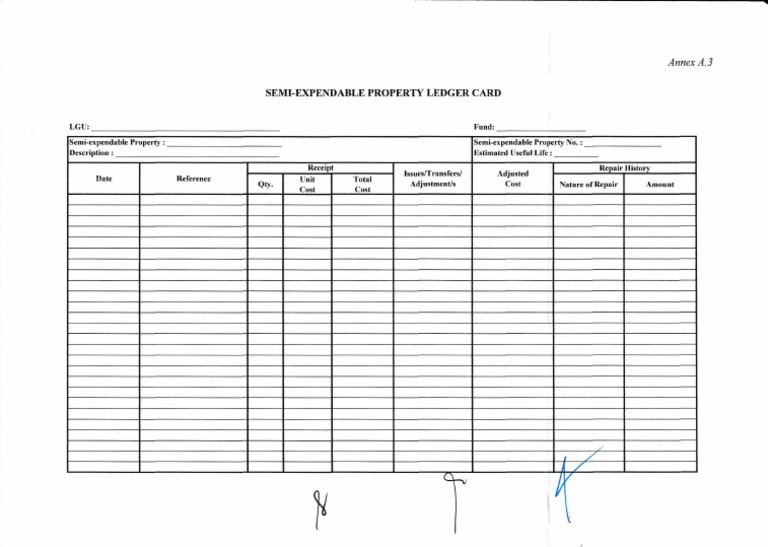 Semi-Expendable Ledger Card: Property | PDF