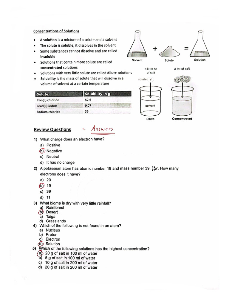 7C S2 Science Revision Key 23-24 | PDF
