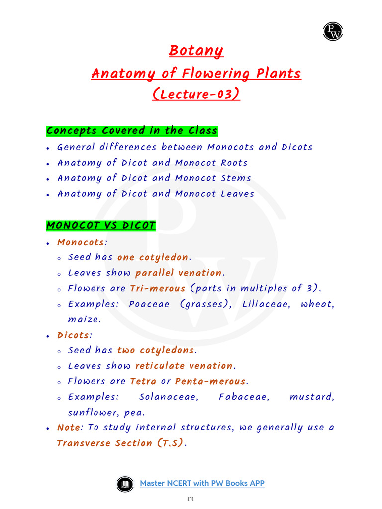 Anatomy of Flowering Plants 03: Summary Notes | PDF | Plant Stem | Leaf