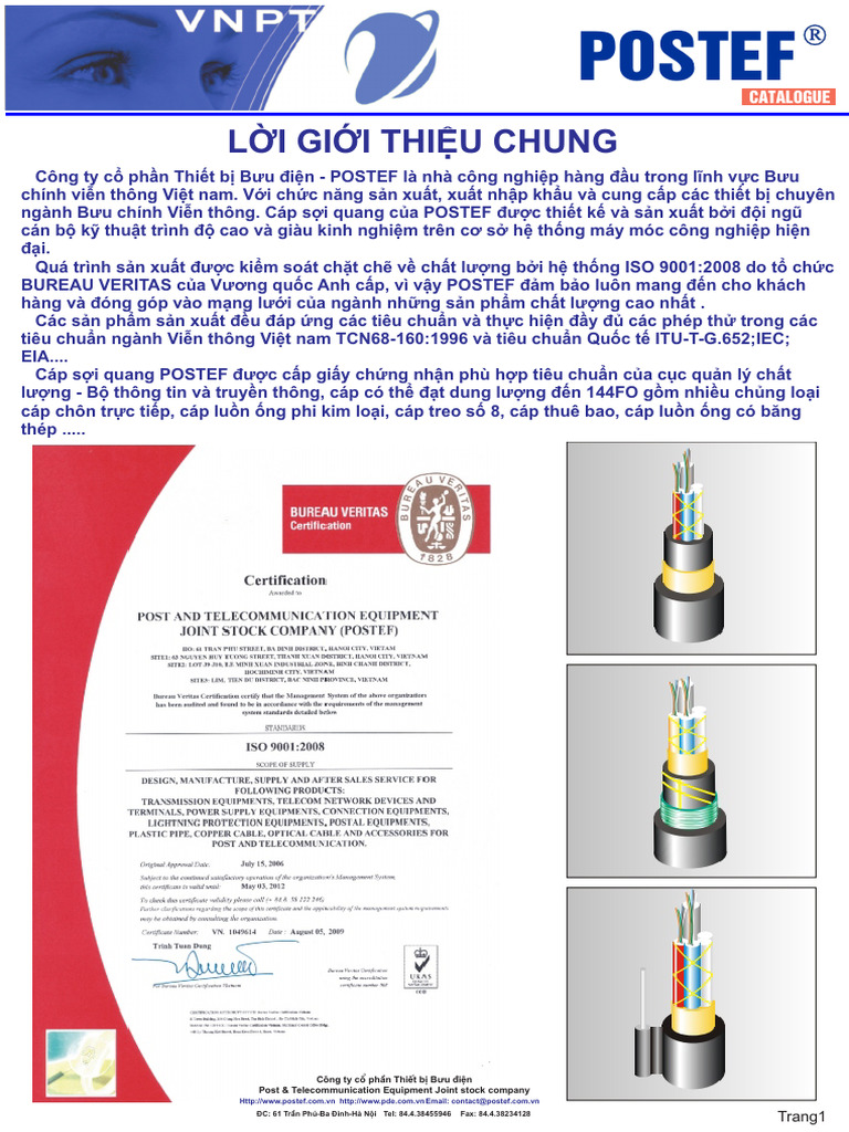 Catalog | PDF