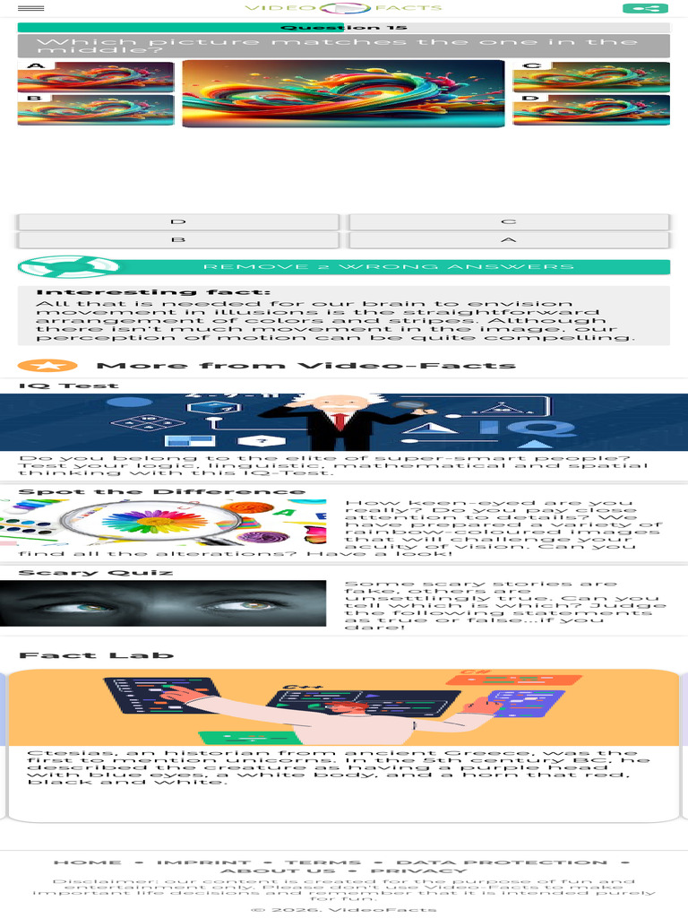 Color Vision Fun Test 3 | PDF
