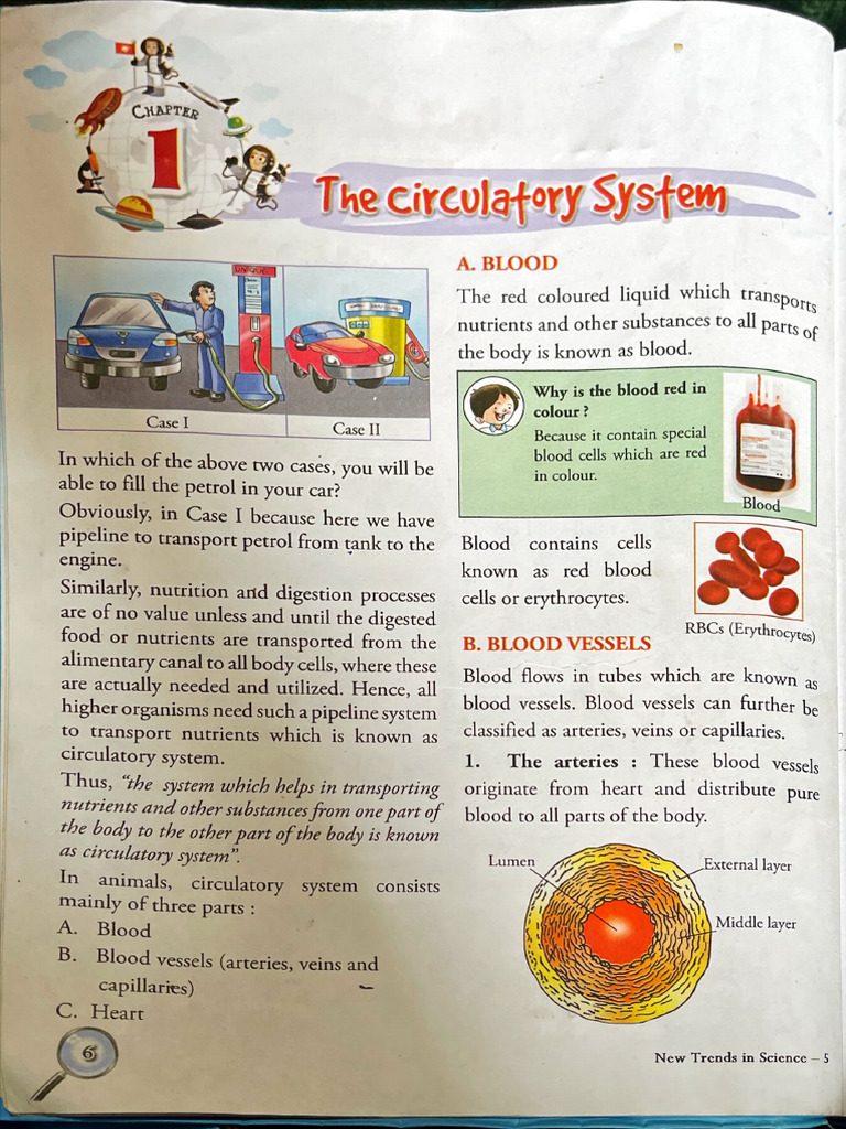 Science | PDF