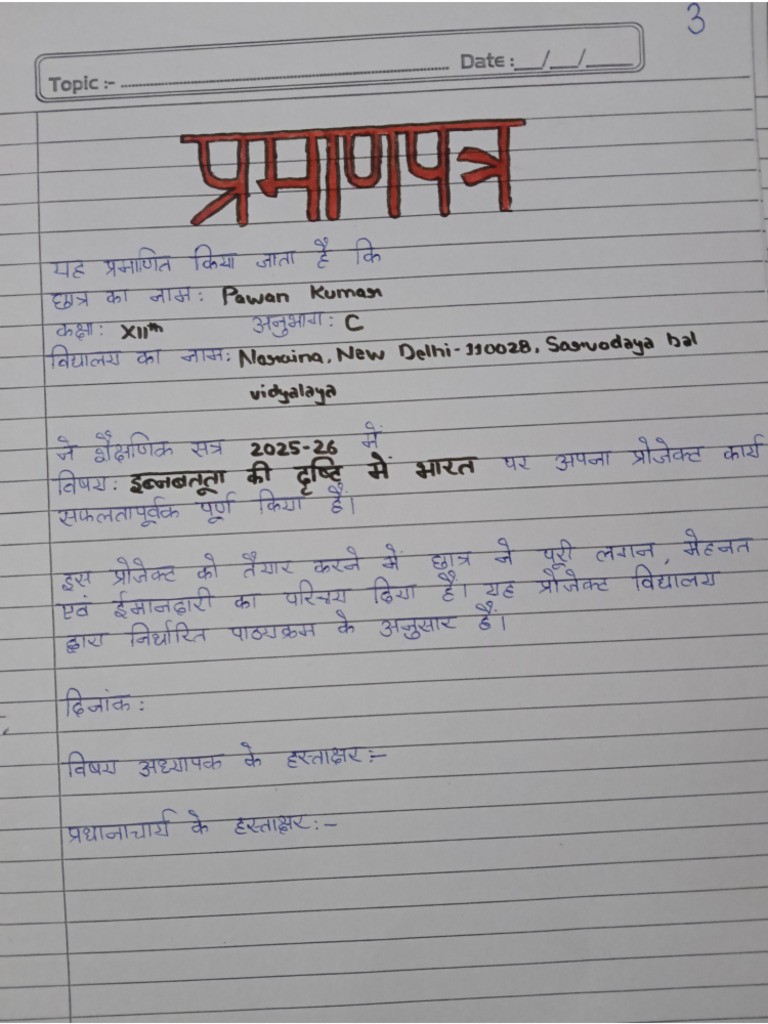 History Project | PDF