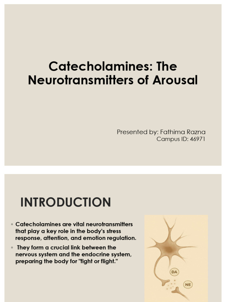 Catecholamines | PDF