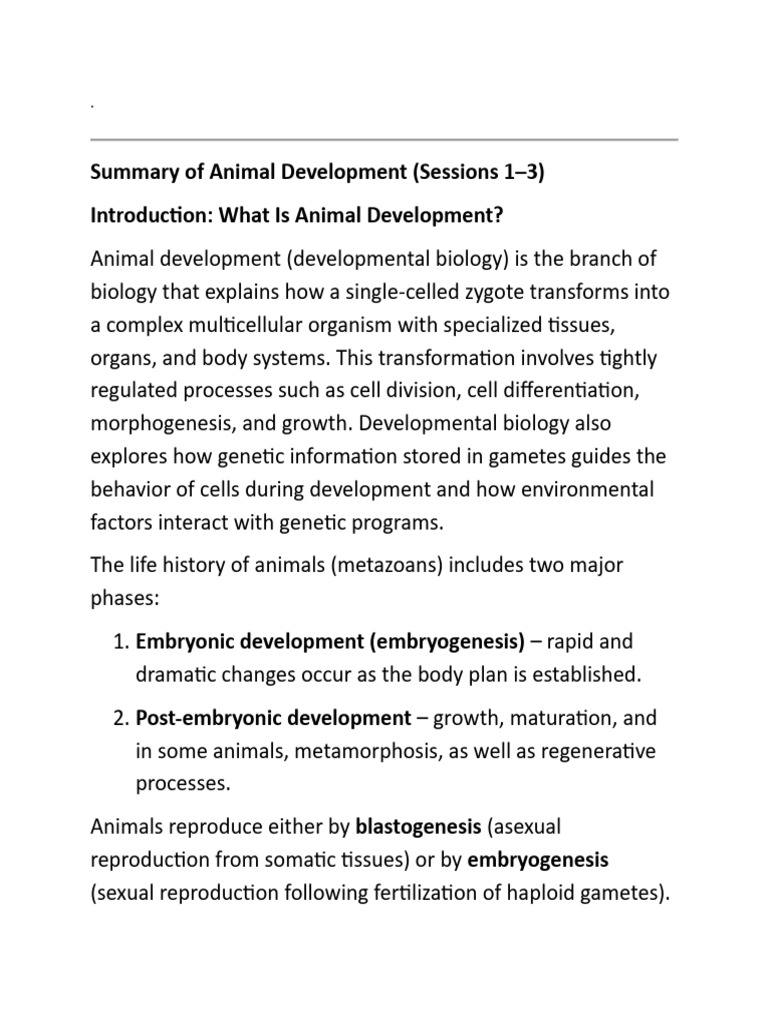 Summary of Animal Development | PDF | Developmental Biology | Embryo