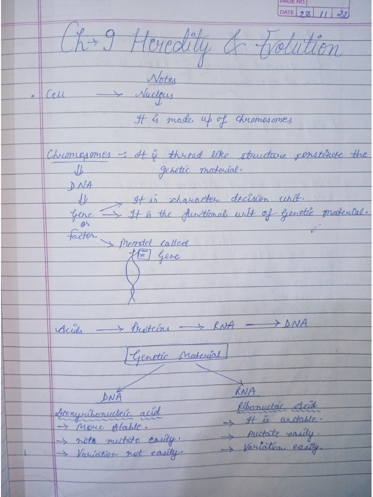 Heredity Notes Class 10 For Quick Revision | PDF