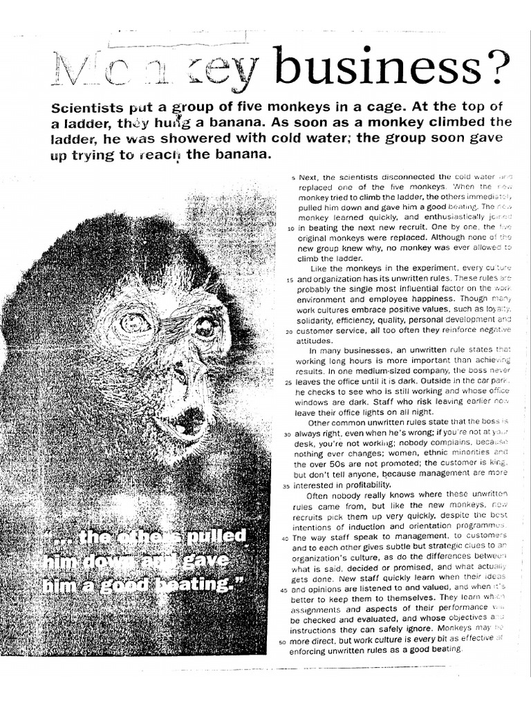 Monkey Business 1 | PDF