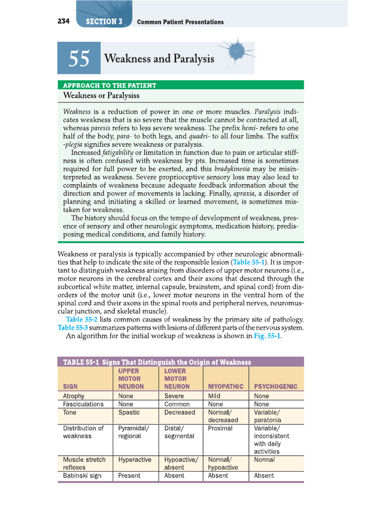 Weakness and Paralysis - Pom Notes | PDF