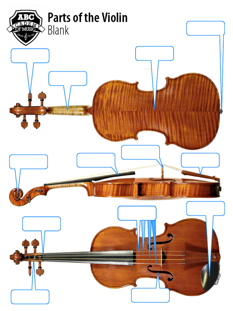 Parts of The Violin Worksheet | PDF