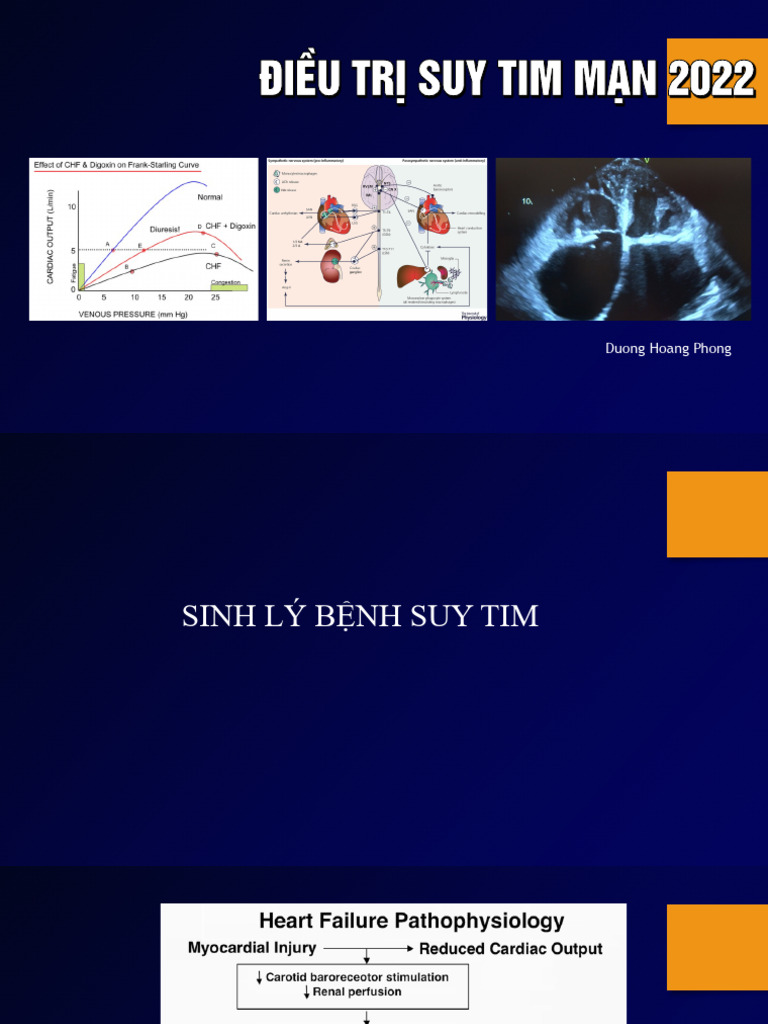 Suy Tim Update | PDF