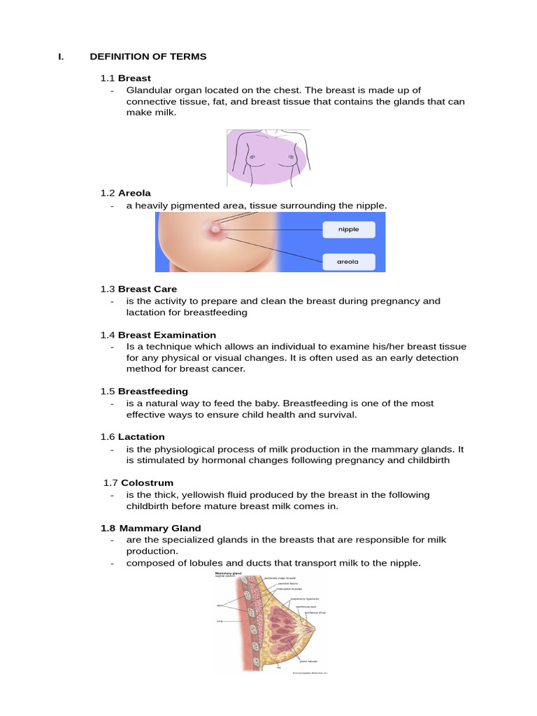 Breast Care, Exam, Feeding Long | PDF | Breast | Breastfeeding