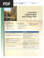 Download Ecosystem Organization and Energy Flow1 by vickyherrer6069 SN10036246 doc pdf