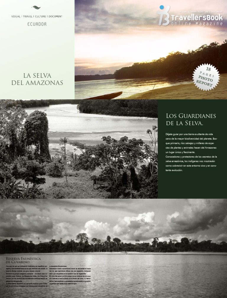 03 TBook La Selva Del Amazonas Es | PDF | río Amazonas | Selva