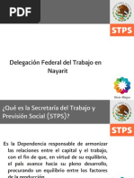Generalidades de La Delegacion en Nayarit de La STPS
