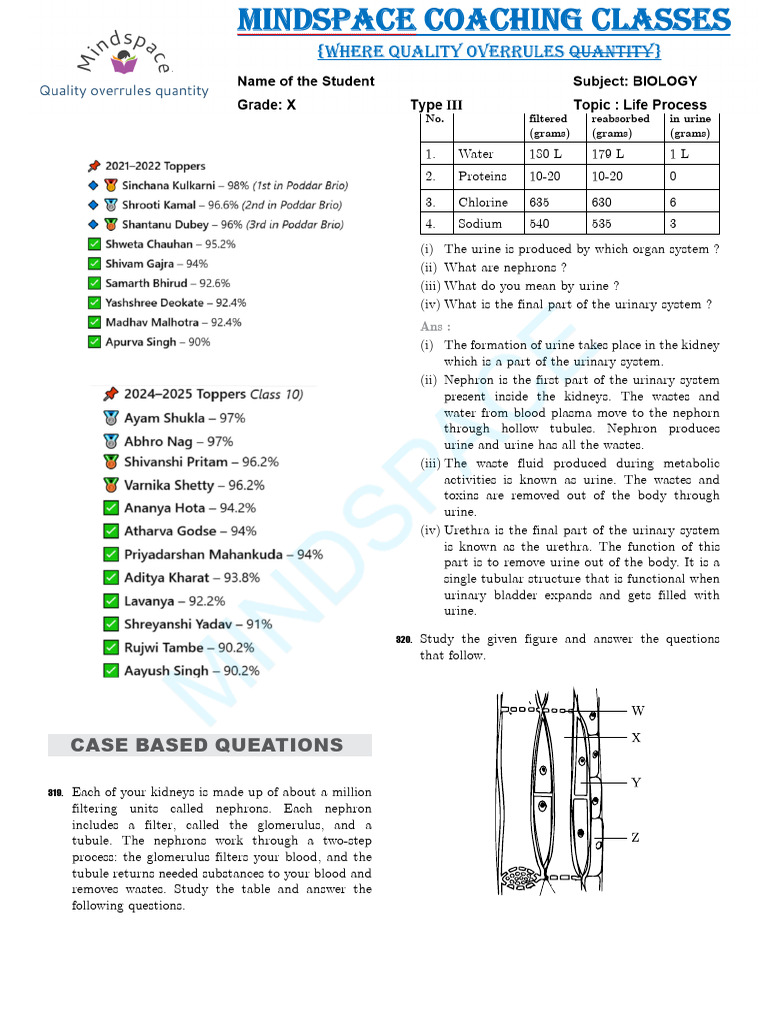 Case Study Biology | PDF | Stoma | Leaf