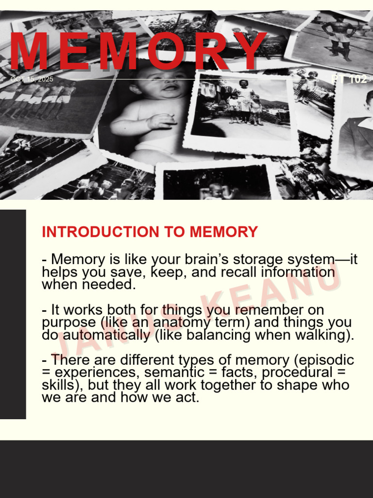 Memory | PDF | Memory | Recall (Memory)