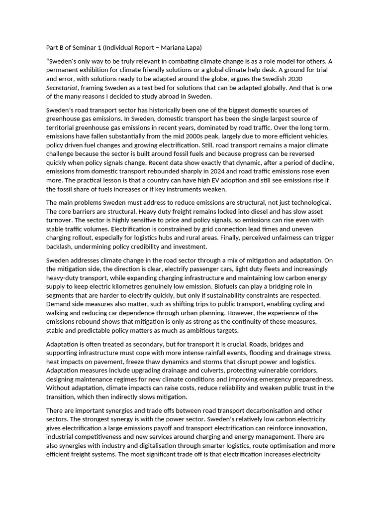 Individual Report Seminar1 | PDF | Climate Change Mitigation | Transport