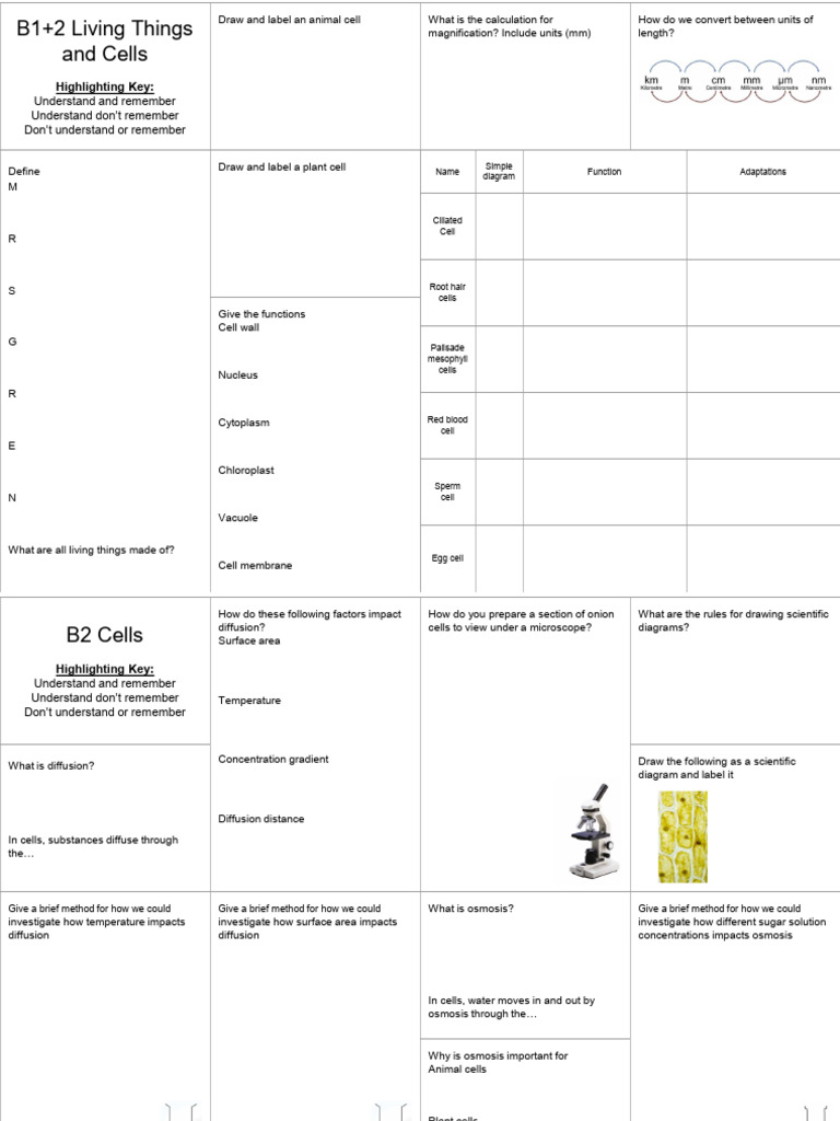 Y10 Summer Revision 2 | PDF | Respiratory System | Circulatory System