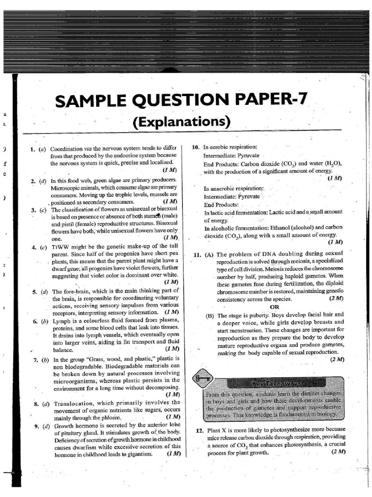 Answer Sample Paper - 7 | PDF