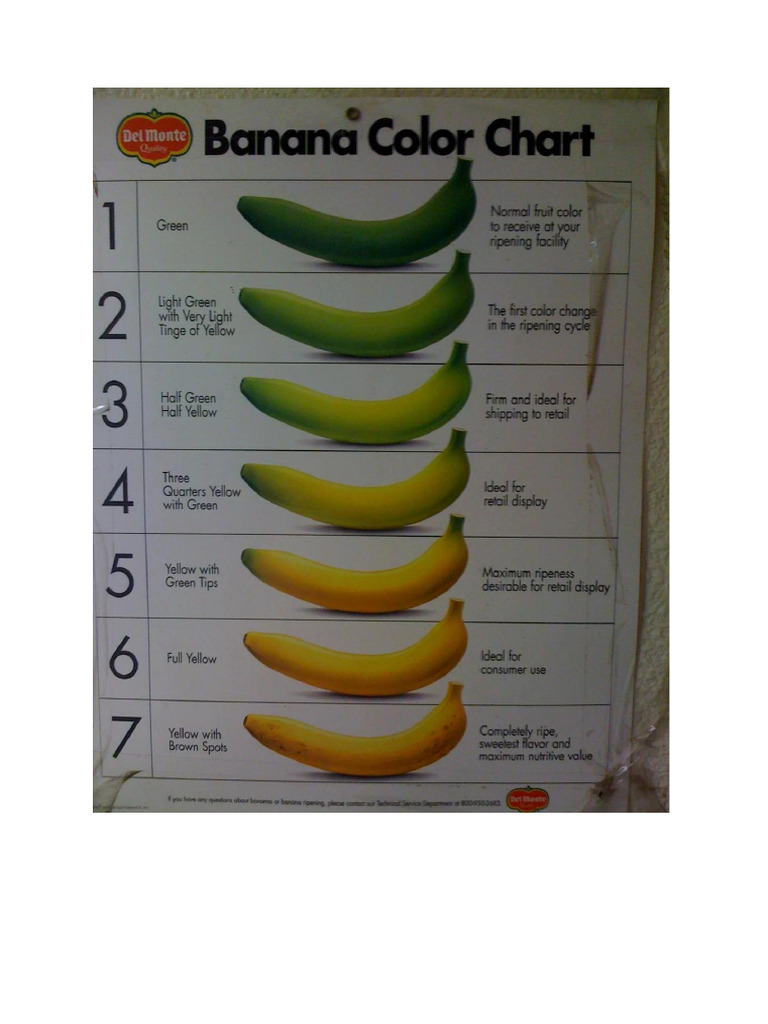 Banana Colour Chart | PDF