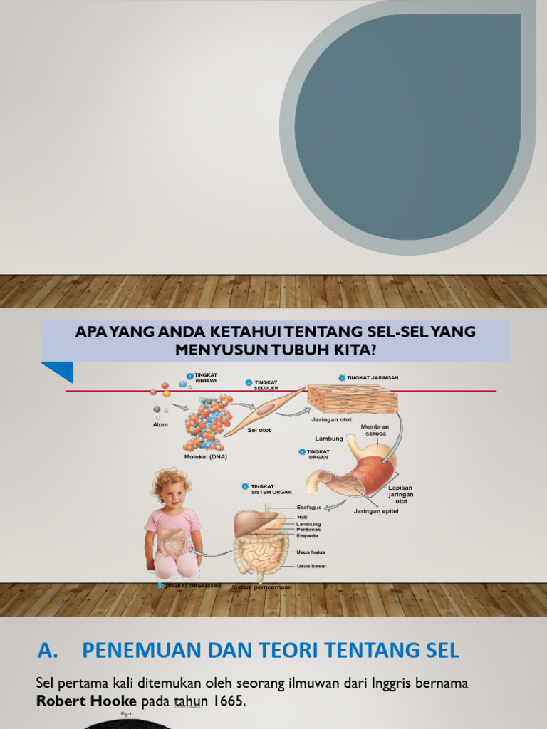 Sel 1 | PDF