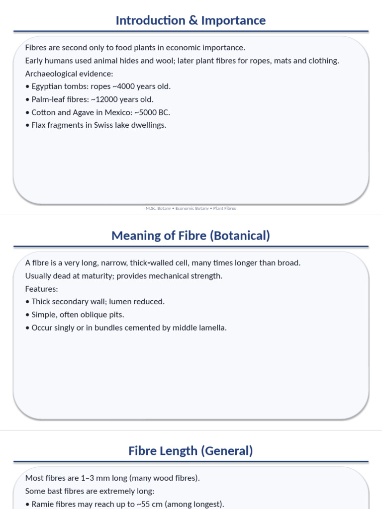 Plant Fibres MSC Full Slides | PDF | Cellulose | Plant Stem