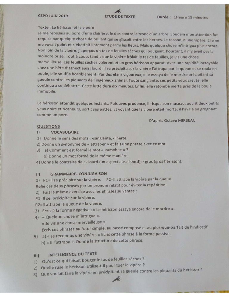 Cepd 2019 | PDF