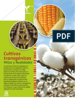 Plegable Cultivos Transgenicos 2011