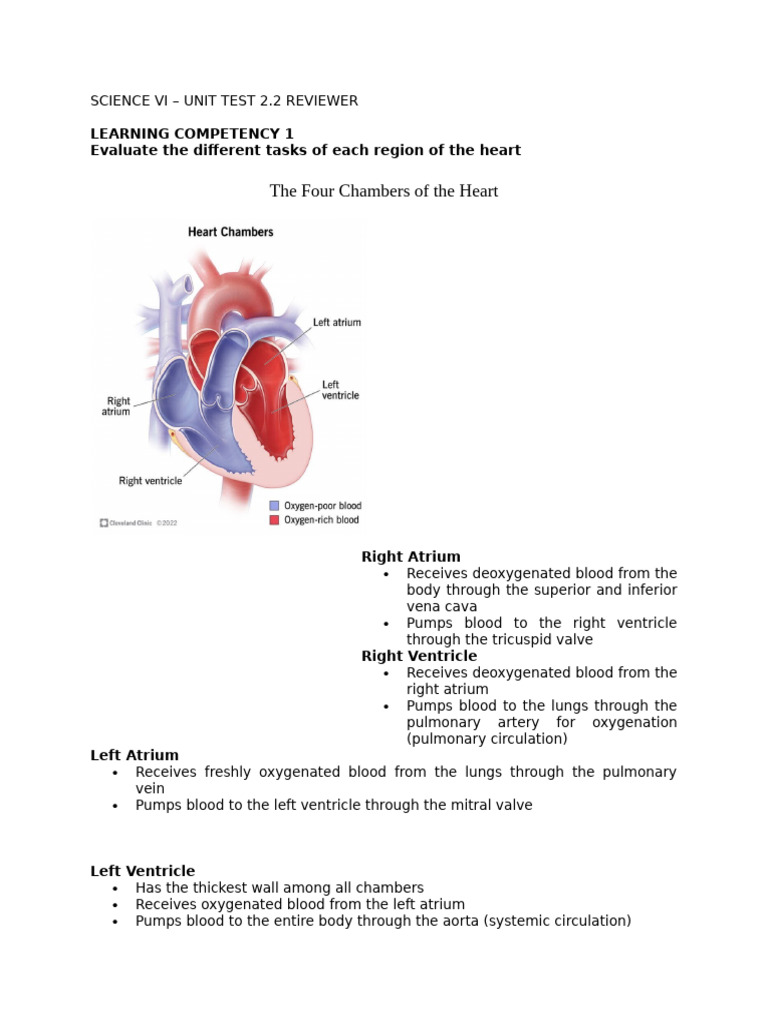 Science 6 Reviewer - Four Chambers of The Heart | PDF | Heart ...