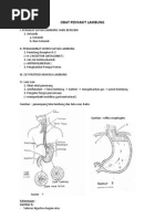 Download 2 OBAT PENYAKIT LAMBUNG by Shenee Ester Barda Thia SN100379112 doc pdf