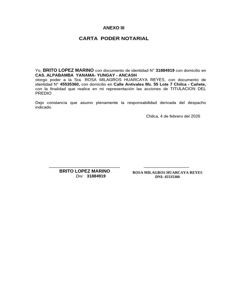 Carta Poder Notarial (Persona Natural) | PDF