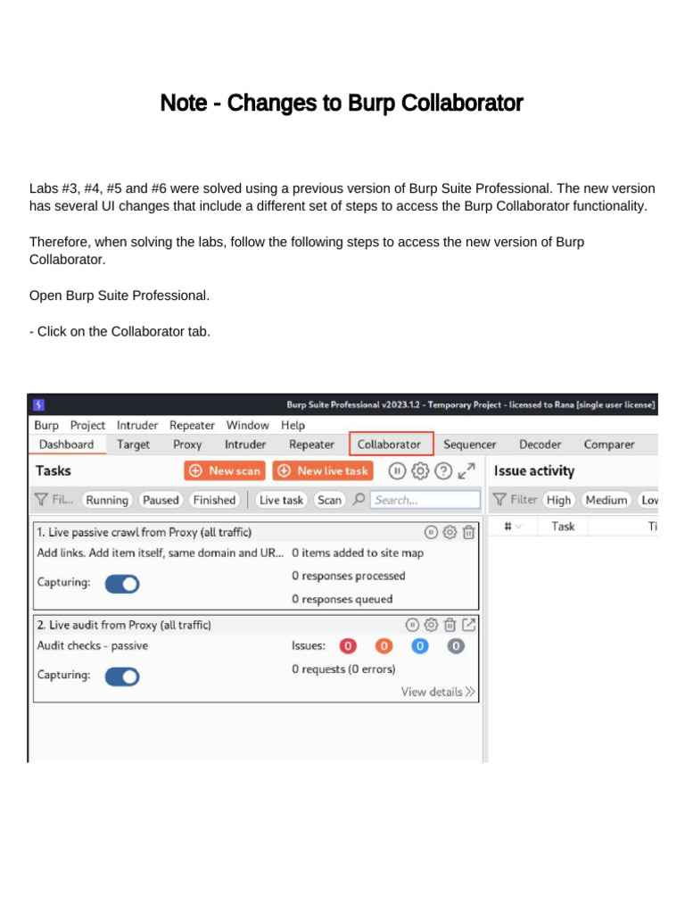 Note - Changes To Burp Collaborator | PDF