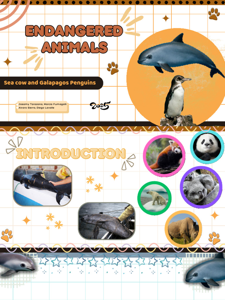 Endagered Animals | PDF