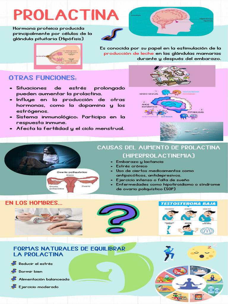 Infografia PROLACTINA | PDF