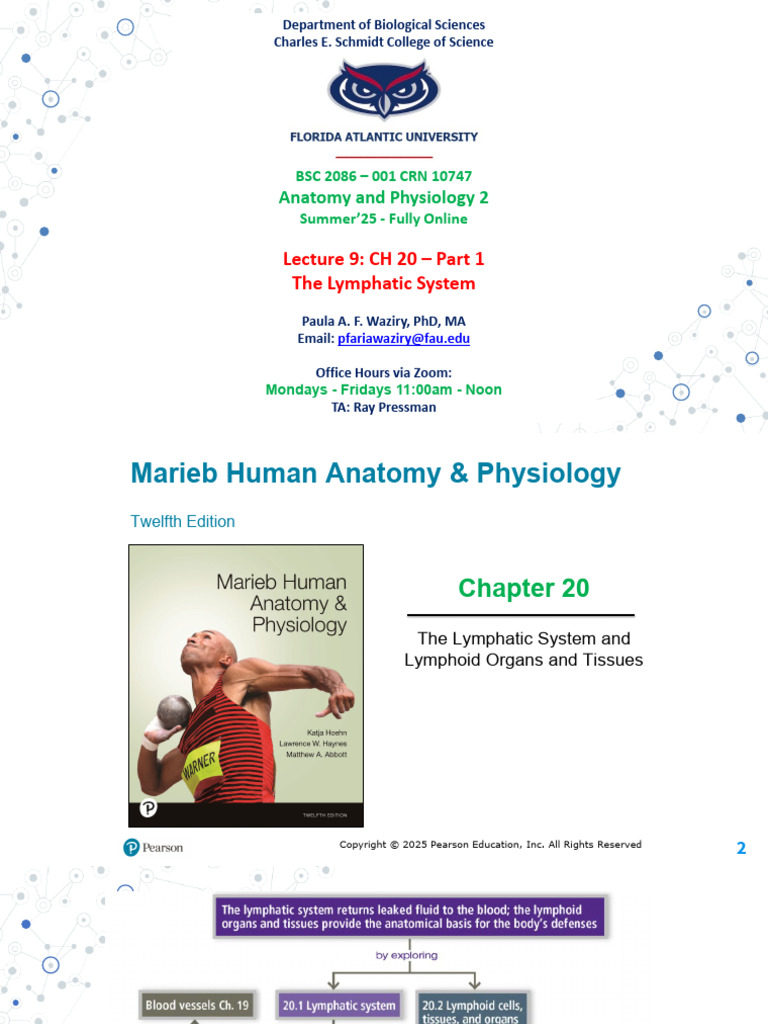 Lec 9 Summer 25 - CH20 - Part 1 - Lymphatic System-Revised | PDF ...