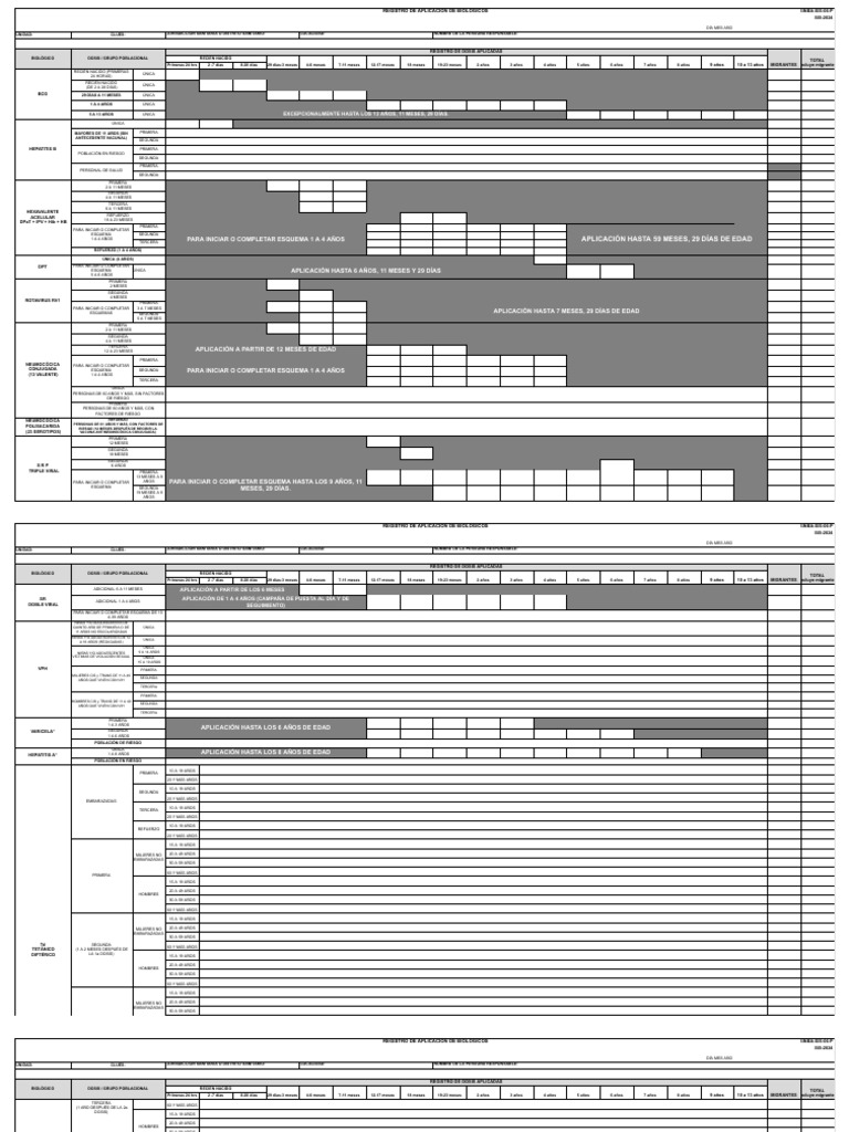 Sinba-Sis-06-P 2024 Fmto Modificado Febrero 2024 | PDF | Ciencias de la ...