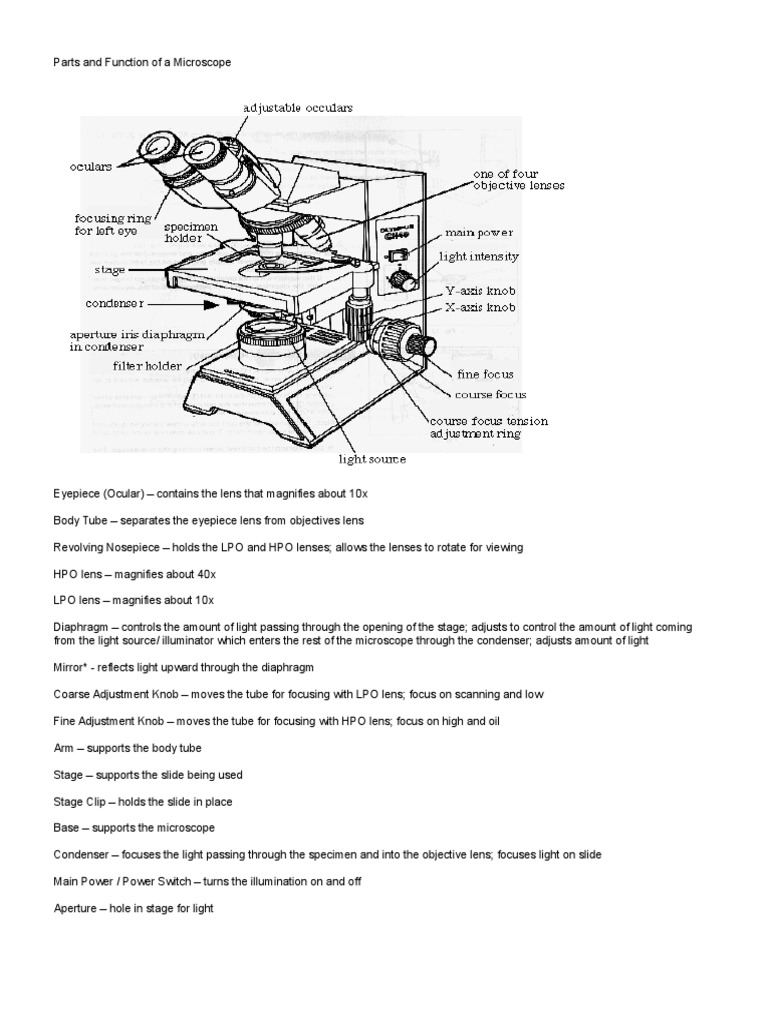Functions of Microscope Parts Explained | PDF | Atomic | Applied And ...