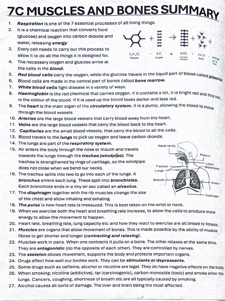 Science 7C | PDF