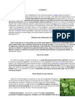 Clisme Cu Bicarbonat de Sodiu | PDF