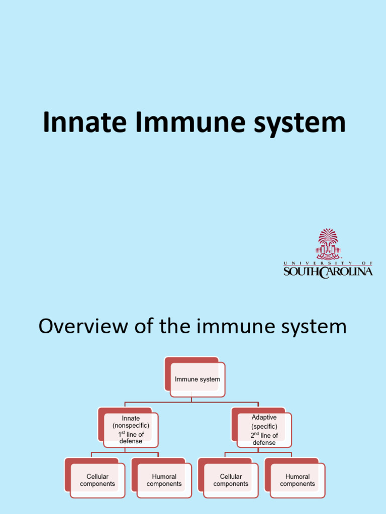 Innate Immune System | PDF | Immune System | Innate Immune System