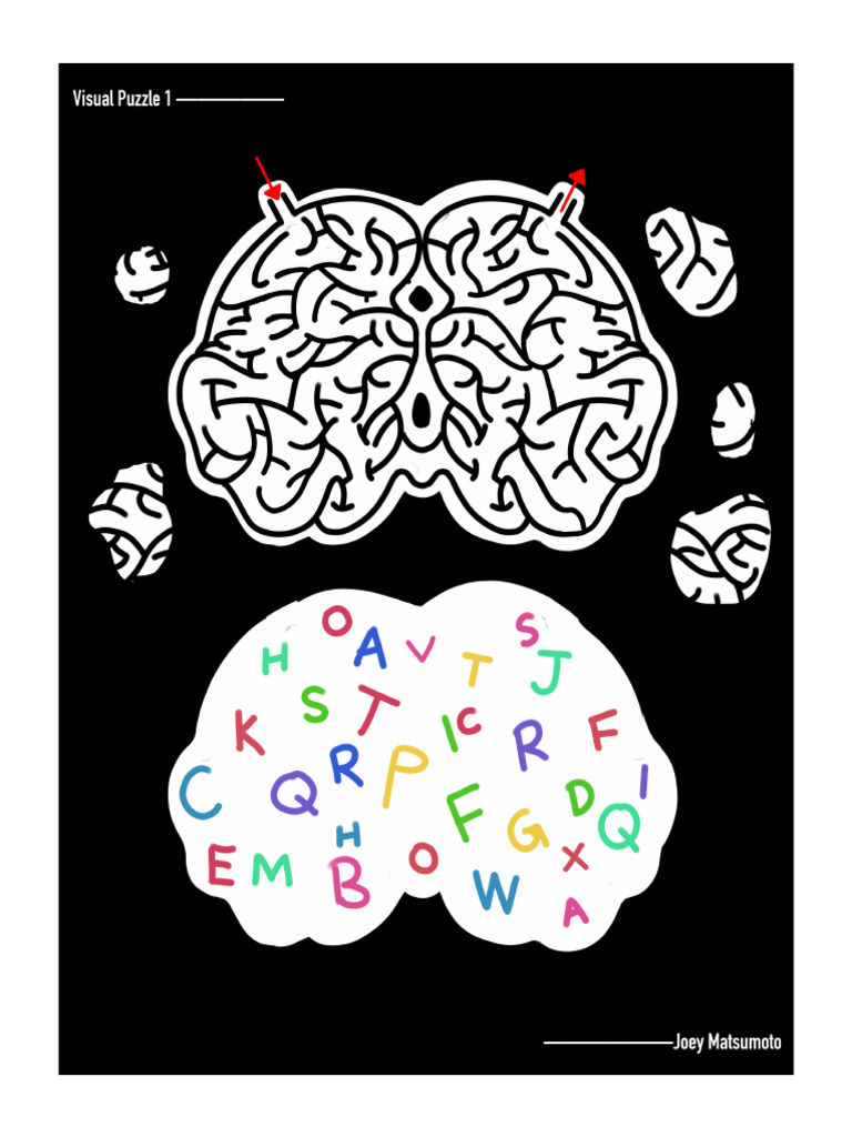 Visual Puzzle | PDF