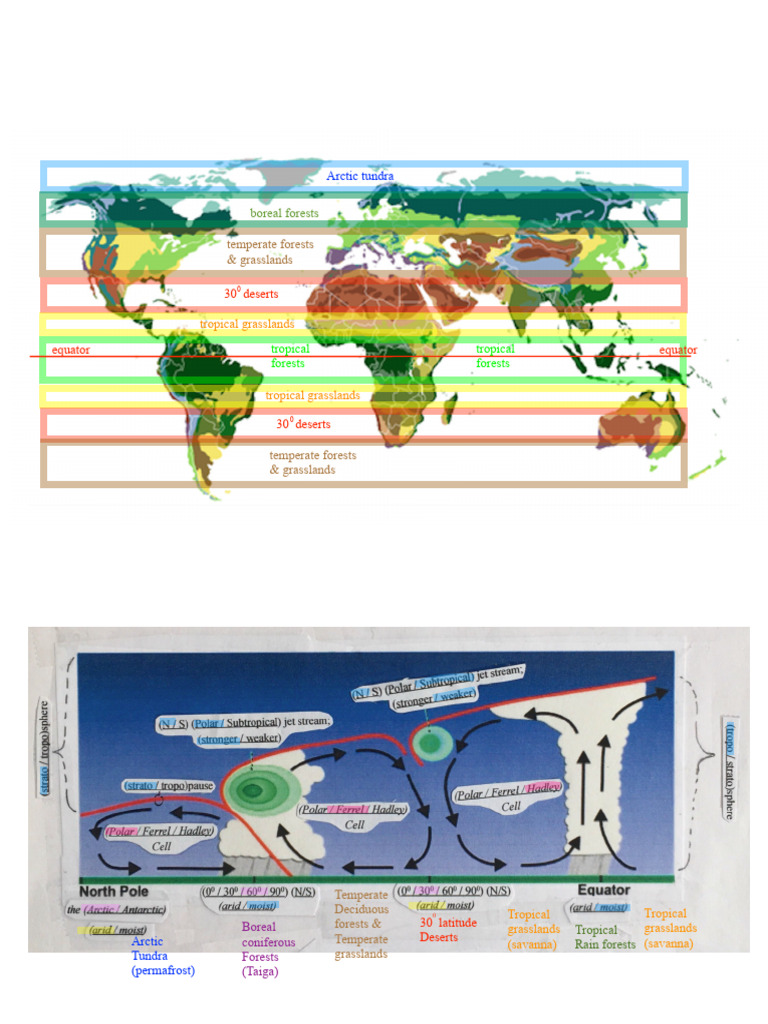 Bio 8.13 World Biome Map & Atmo Cells Annotated | PDF