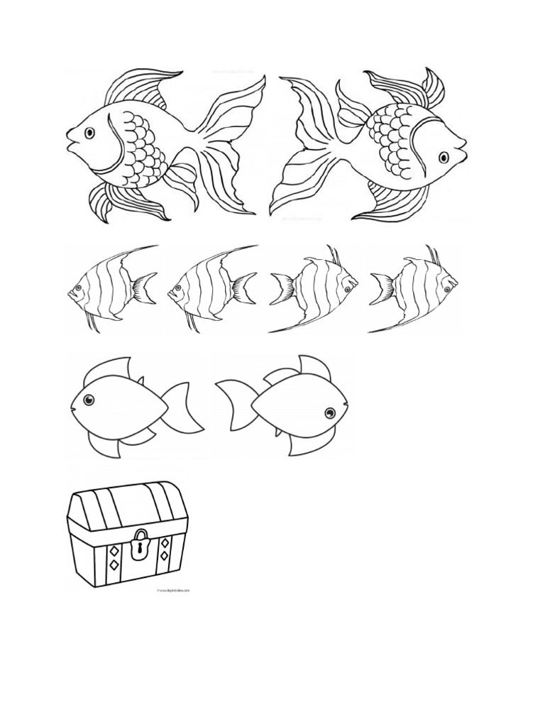 Fish | PDF