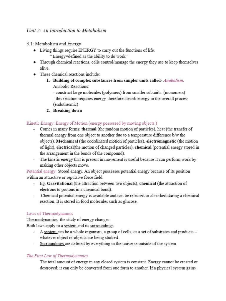 Biology Notes Grade 12 | PDF | Chlorophyll | Chemistry