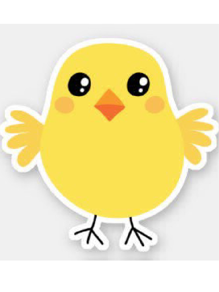 Pollito | PDF
