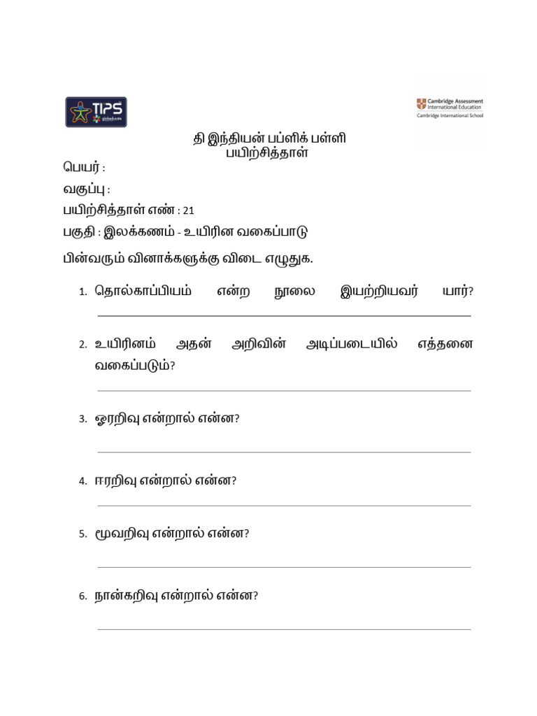 g6 Mws19 Worksheet | PDF