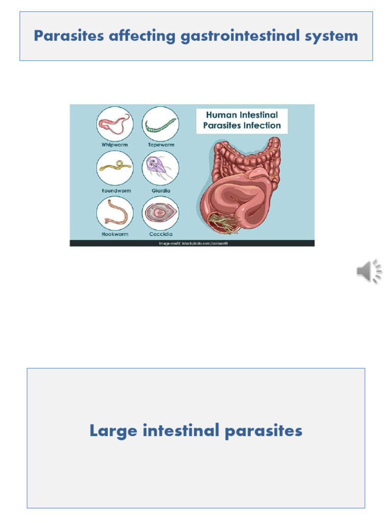 Large Intestine Parasites - 27-2-2025 | PDF | Medical Specialties ...