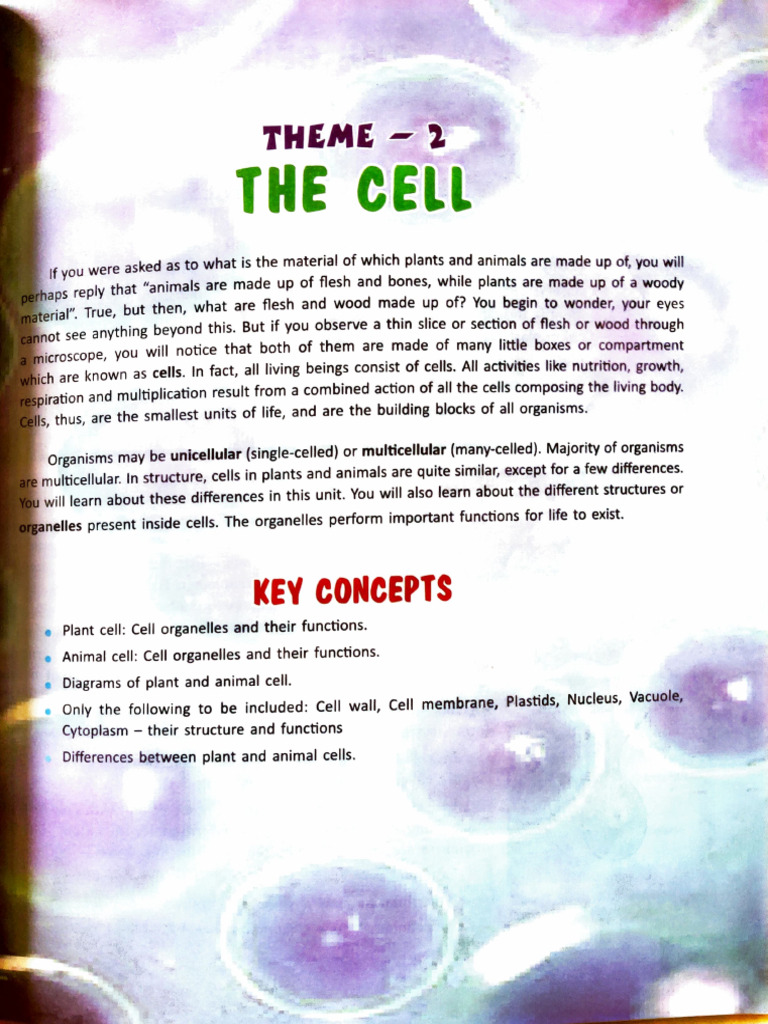 Chapter 3 The Cell | PDF | Cell (Biology) | Cytoplasm
