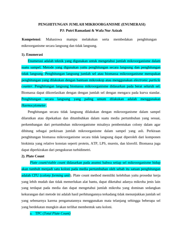 Persepsi Enumerasi | PDF