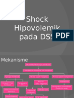 21743699 Dengue Shock Syndrome With Diagrams